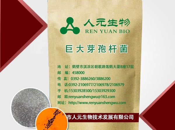 巨大芽孢杆菌_生物巨大芽孢杆菌_生物功能菌